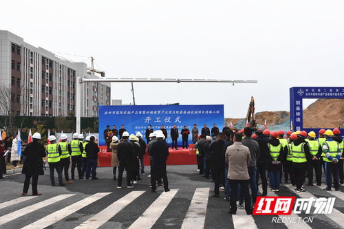 永州國(guó)際農(nóng)副產(chǎn)品智慧冷鏈商貿(mào)產(chǎn)業(yè)園配套道路工程正式開(kāi)工建設(shè)